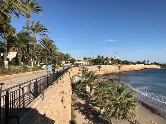 Cc8 Ii By Zanis * Torrevieja